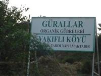 Vakifli