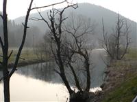 Die Breg Donauquelle