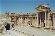 Palmyra