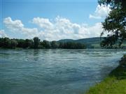 Rhein