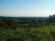 Blick auf den Bodensee, nahe Tettnang