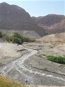 Zufluss zum Toten Meer (evtl. Wadi Tmarim) I