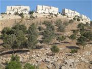 Ma'ale Adumim