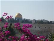 Jerusalem, Blick auf den Felsendom von den Benediktinern aus