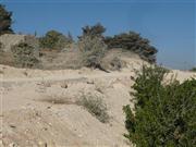 Beit Jala, früher Garten, bald Mauer