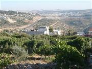 Beit Jala, Blick vom Garten auf die Verbindungsstraße