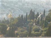 Jerusalem, Maria-Magdalena-Kirche und Dominus flevit