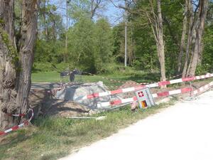 Riehen, Weiher-Steg-Brücke (25.04.2020)