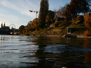 Rheinschwimmen im Herbst (2012)