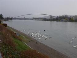 17.28: Dreiländerbrücke von Huningue (Frankreich) aus