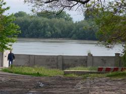 Ismajil, Donau