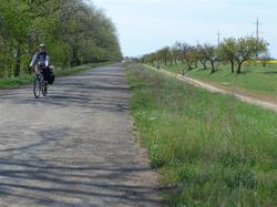 andere Radfahrer