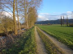 Radweg bei Gottmadingen