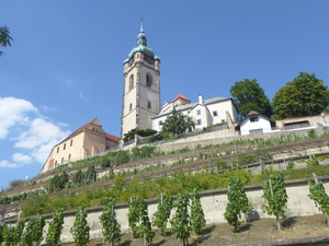 2020-07-27 Mělník (Melnik)