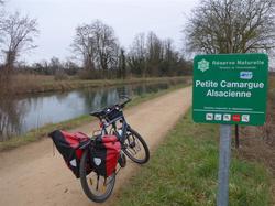 Petite Camargue Alsacienne