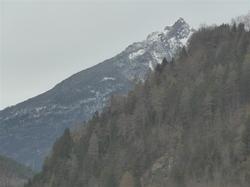 Alpen